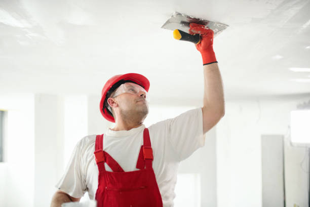 Best Emergency Mold Remediation  in Columbiana, OH