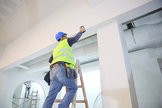 Best Mold Damage Restoration  in Columbiana, OH